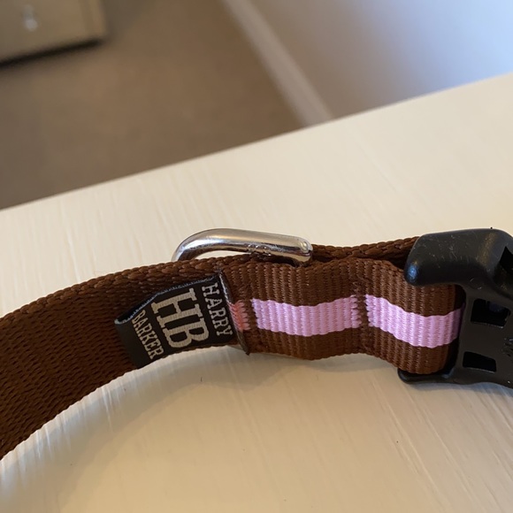 dog collar - Picture 3 of 5